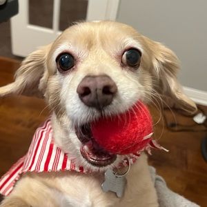 Meet your Posher, Philip